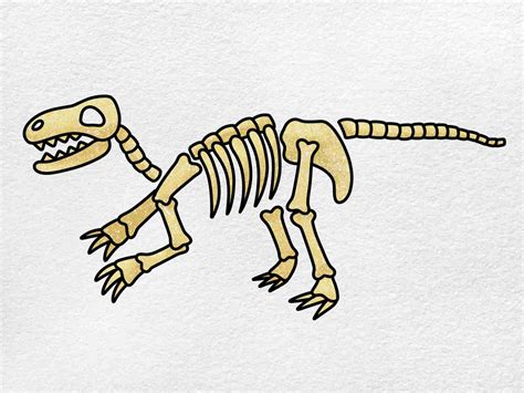 dinosaur fossil drawing easy.